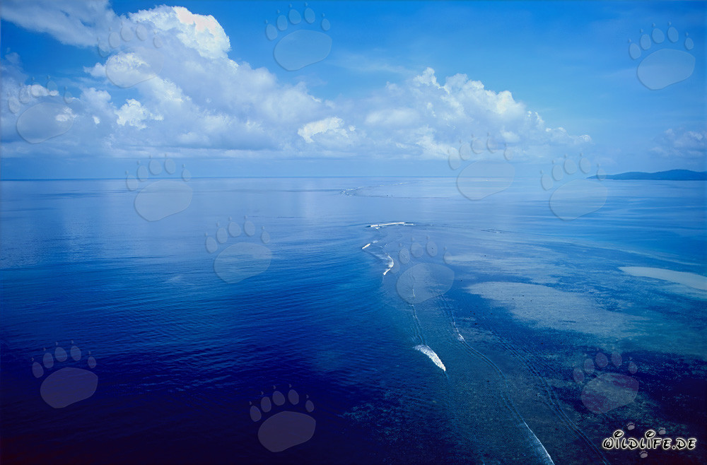 Vue aérienne du Shark Reef avec un arrière-plan de nuages impressionnant