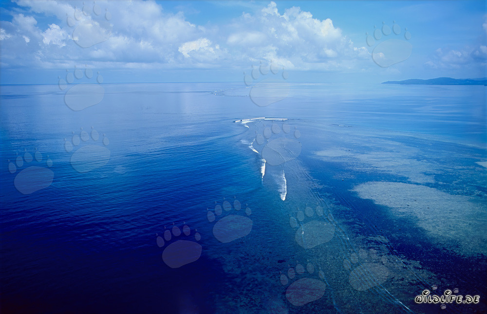 Shark Reef in der Beqa Lagoon auf Fiji aus der Luft