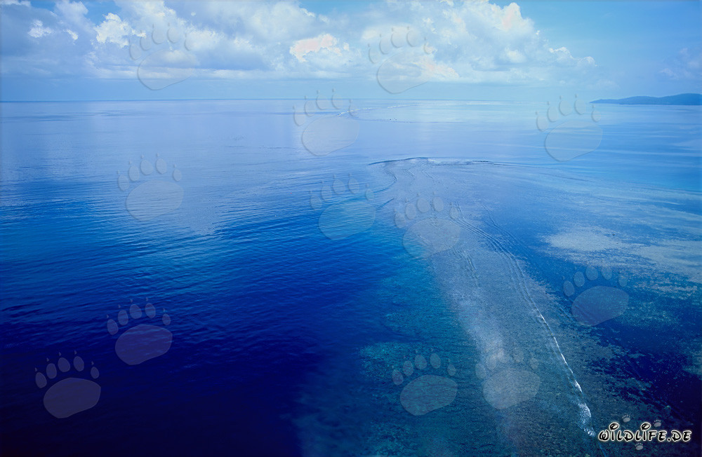 Aerial Picture of Shark Reef Marine Reserve in Beqa Lagoon, Fiji