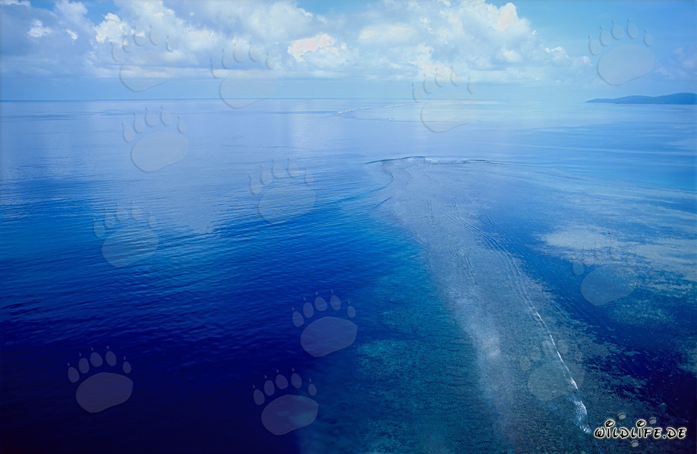 Luftaufnahme des Shark Reef Naturschutzgebiets in der Beqa Lagoon, Fiji