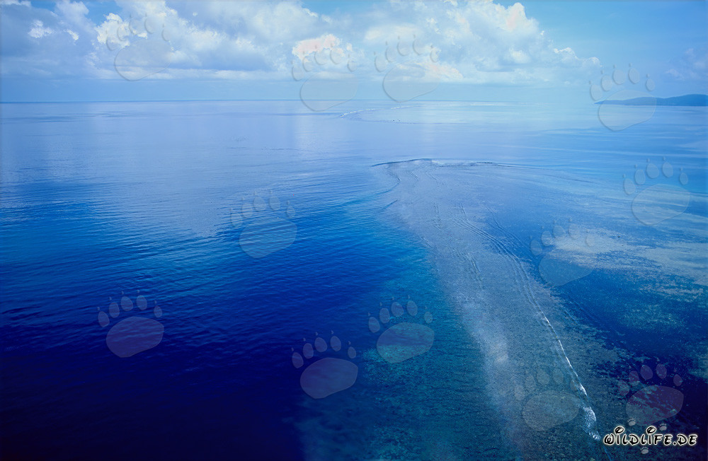 Veduta aerea della riserva naturale Shark Reef nella laguna di Beqa, Figi
