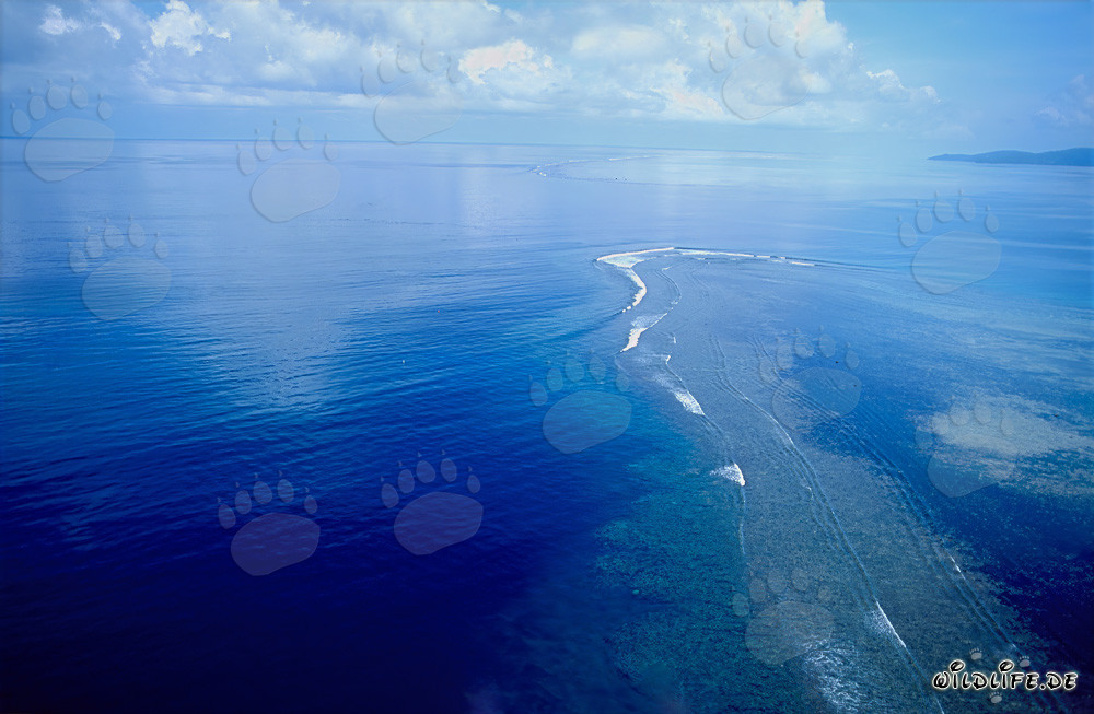 Aerial image of Shark Reef in Beqa Lagoon, Fiji