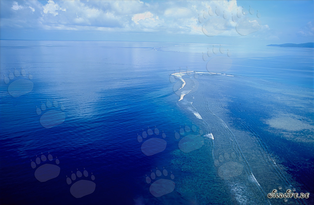 Luftaufnahme des Shark Reef in der Beqa Lagune auf Fiji