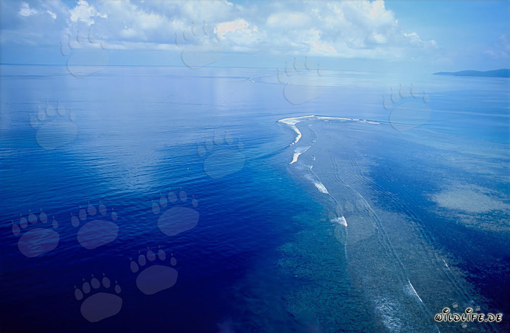 Vista aérea del Shark Reef en la laguna de Beqa en Fiji