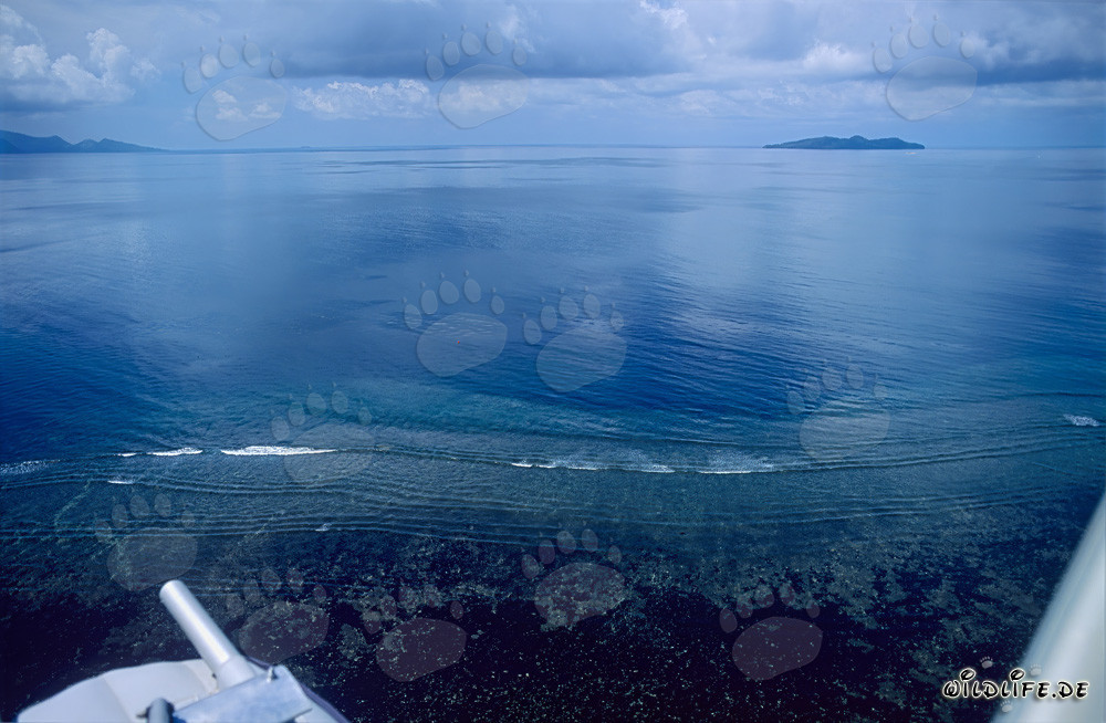 Aerial view of Shark Reef in the marine reserve of Beqa Lagoon in Fiji