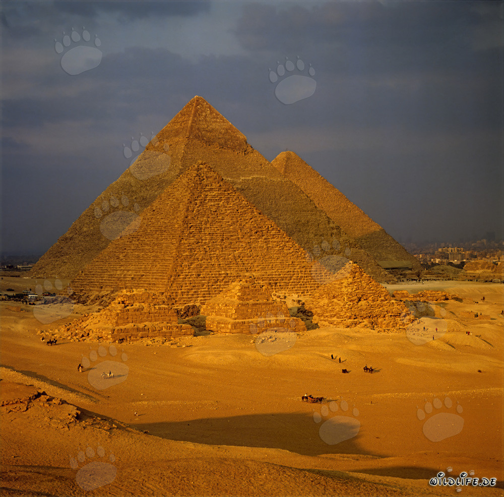 Las majestuosas pirámides de Giza en Egipto
