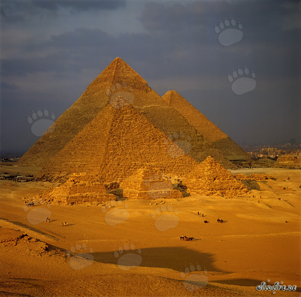 Le maestose piramidi di Giza in Egitto
