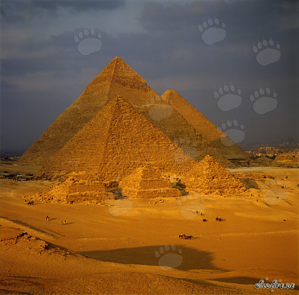 The majestic pyramids of Giza in Egypt
