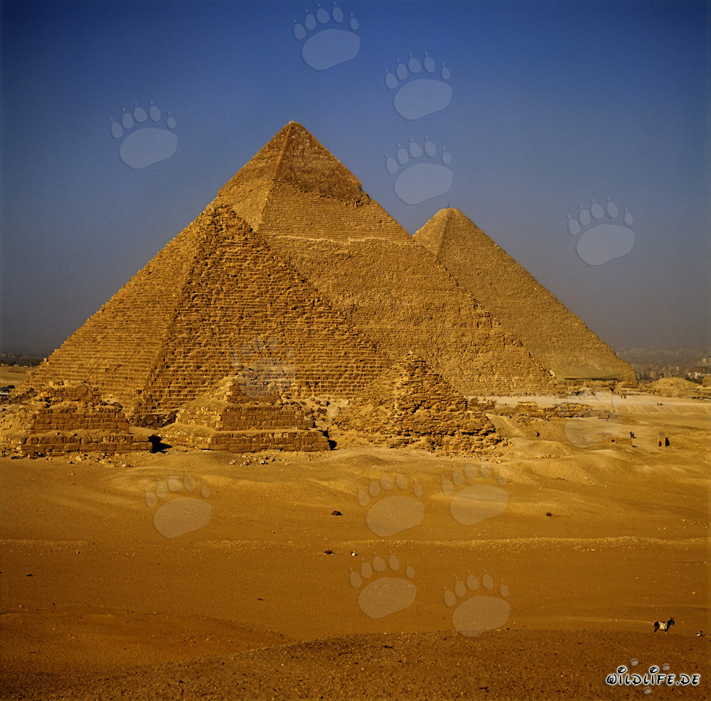 Le misteriose piramidi dell'Egitto