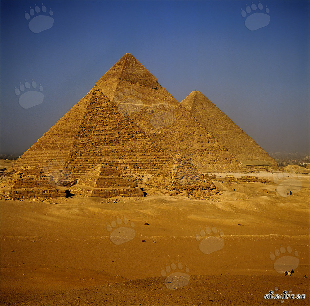 Die geheimnisvollen Pyramiden Ägyptens