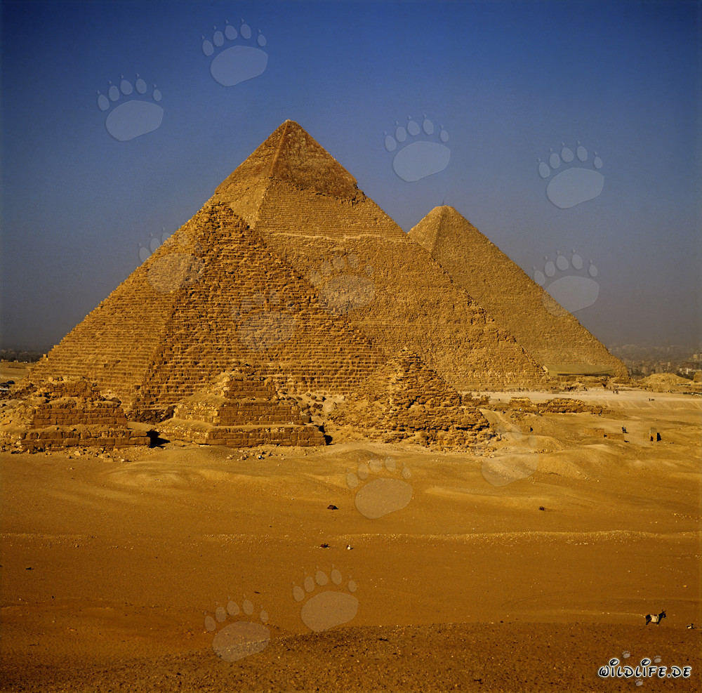 Les mystérieuses pyramides d'Égypte