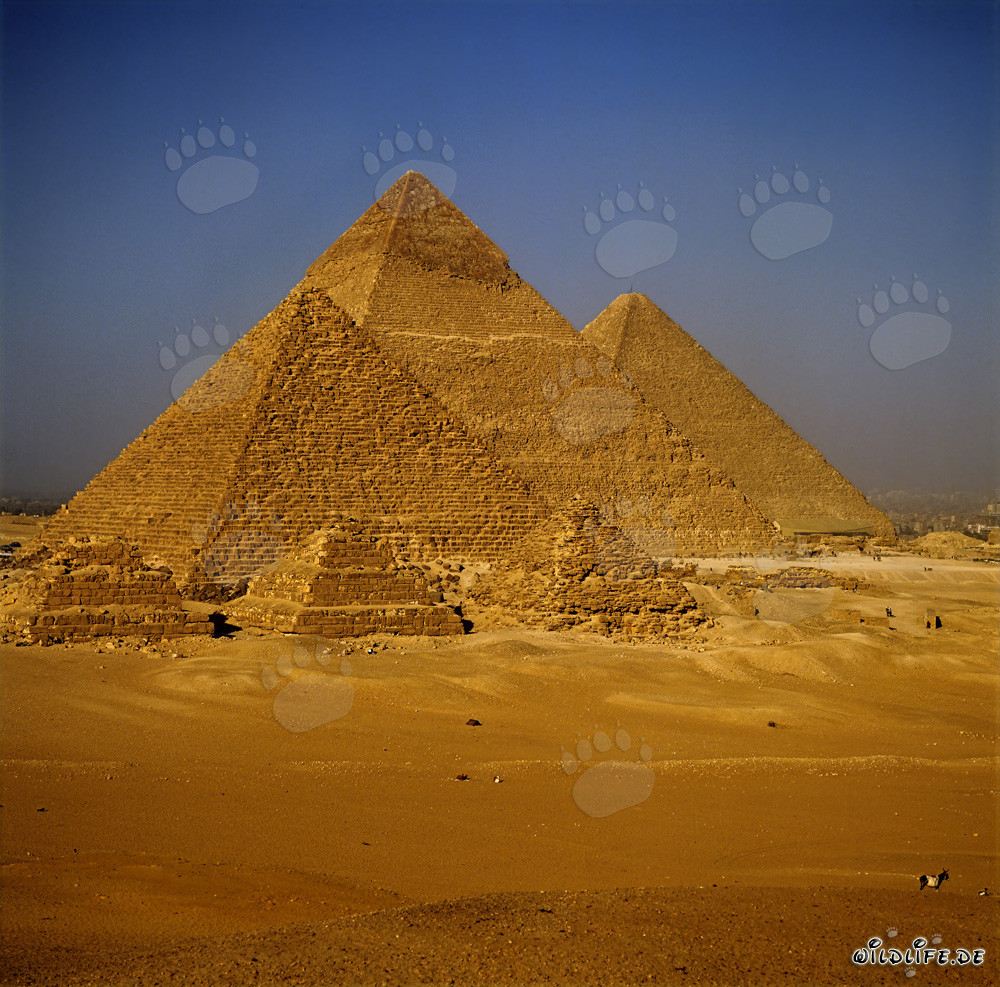 The Enigmatic Pyramids of Egypt