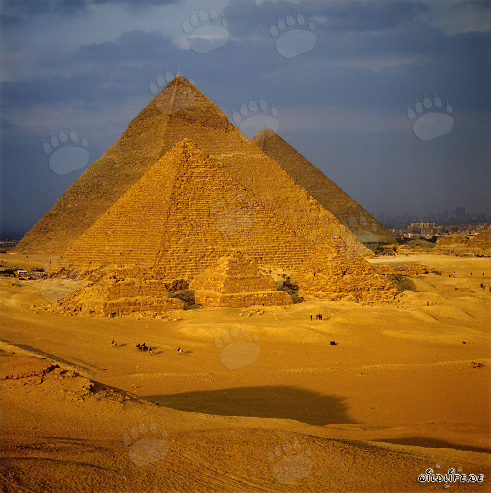Las majestuosas pirámides de Giza