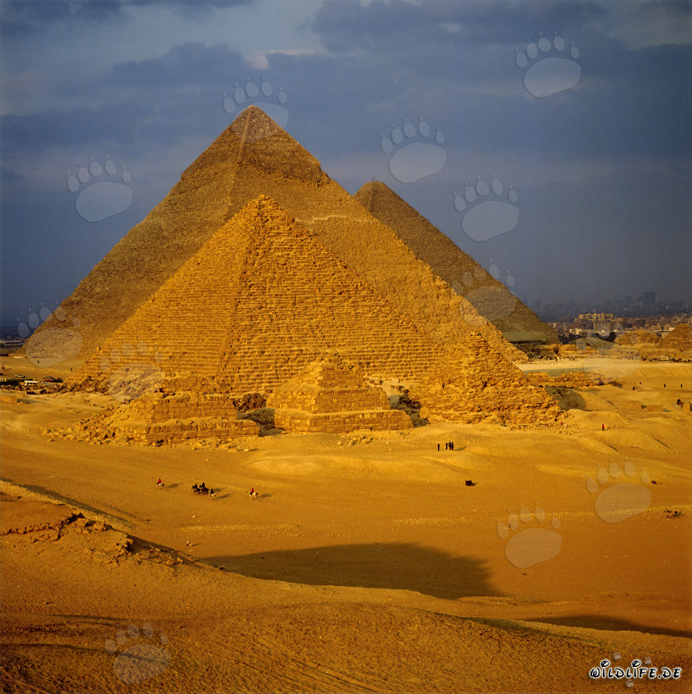 Die majestätischen Pyramiden von Gizeh