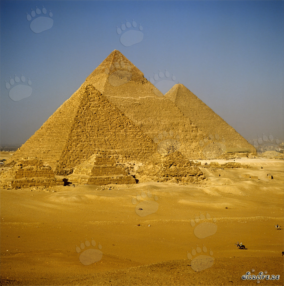 Las impresionantes pirámides de Giza