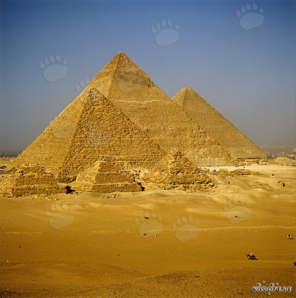 Le impressionanti piramidi di Giza