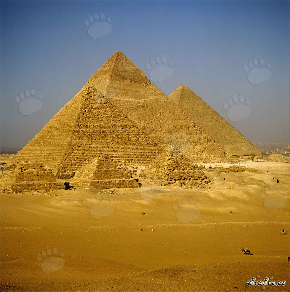 Les impressionnantes pyramides de Gizeh