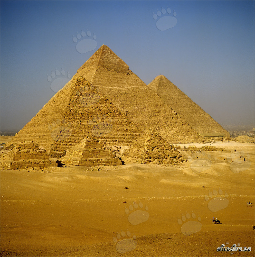 The Impressive Pyramids of Giza