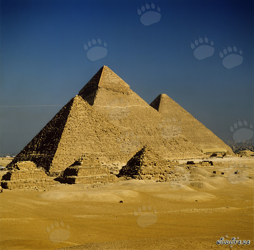 Le impressionanti piramidi di Giza