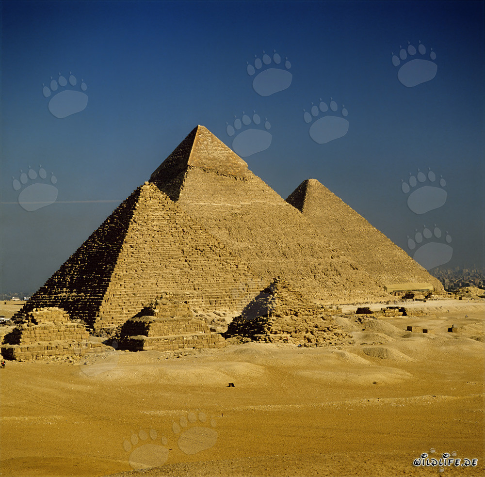 Les impressionnantes pyramides de Gizeh