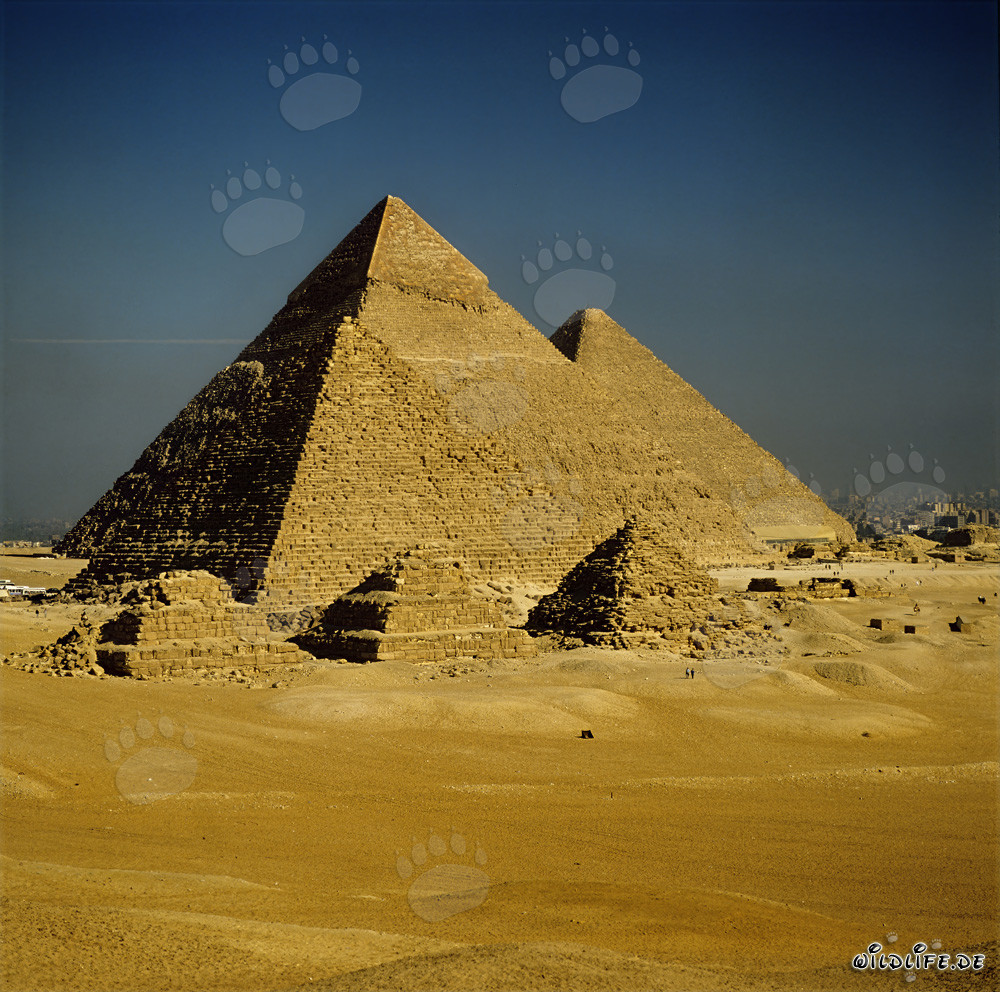 Le maestose piramidi di Giza - una meraviglia mondiale impressionante