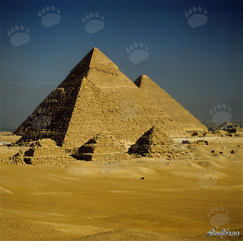 Die majestätischen Pyramiden von Gizeh - ein beeindruckendes Weltwunder