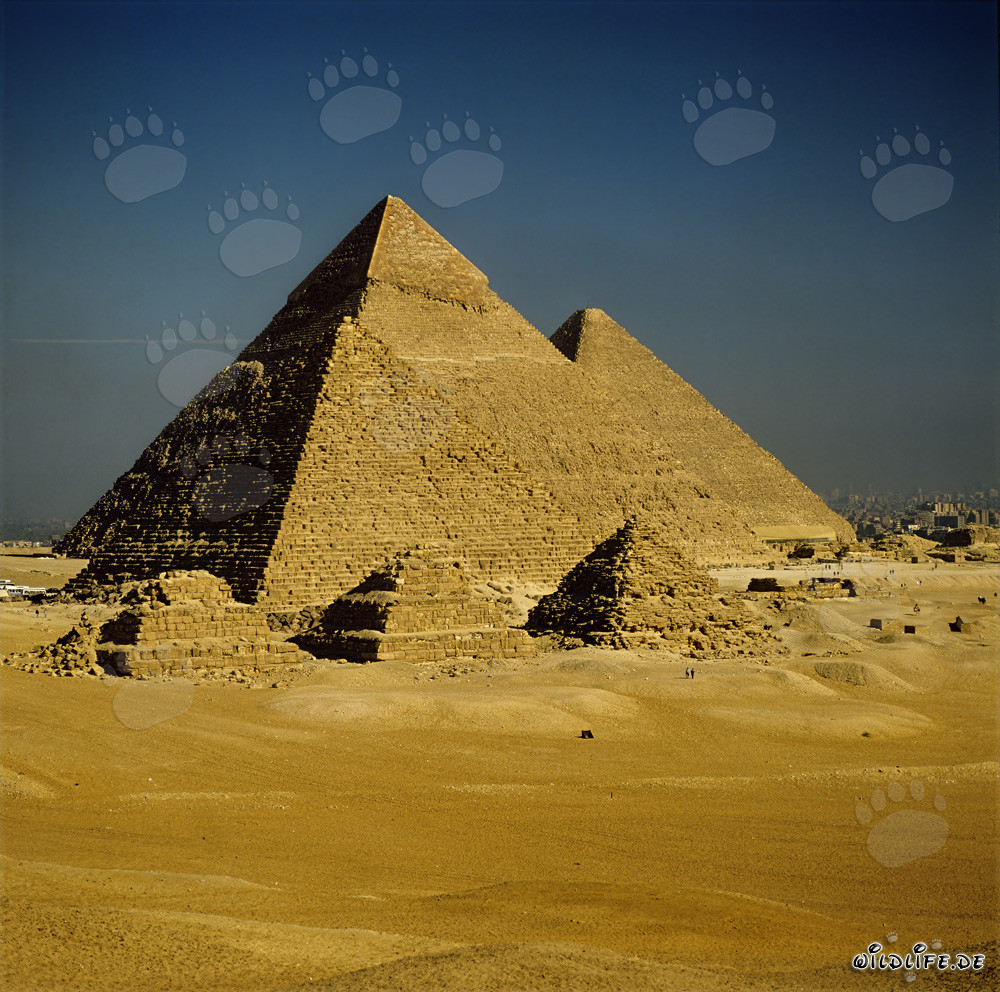 Les majestueuses pyramides de Gizeh - une merveille du monde impressionnante