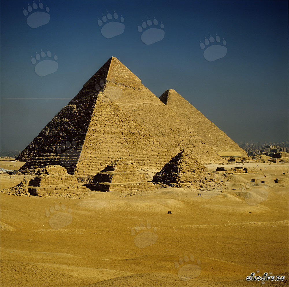 The Majestic Pyramids of Giza - An Impressive Wonder of the World