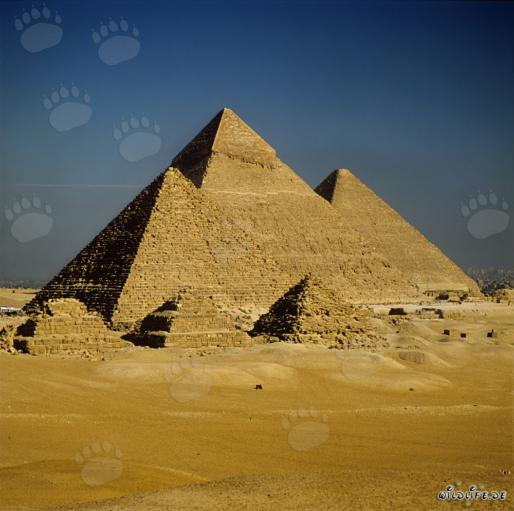 Las majestuosas pirámides de Giza en Egipto