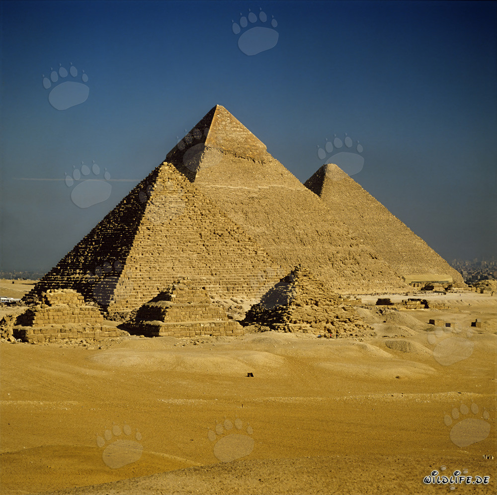 Die majestätischen Pyramiden von Gizeh in Ägypten