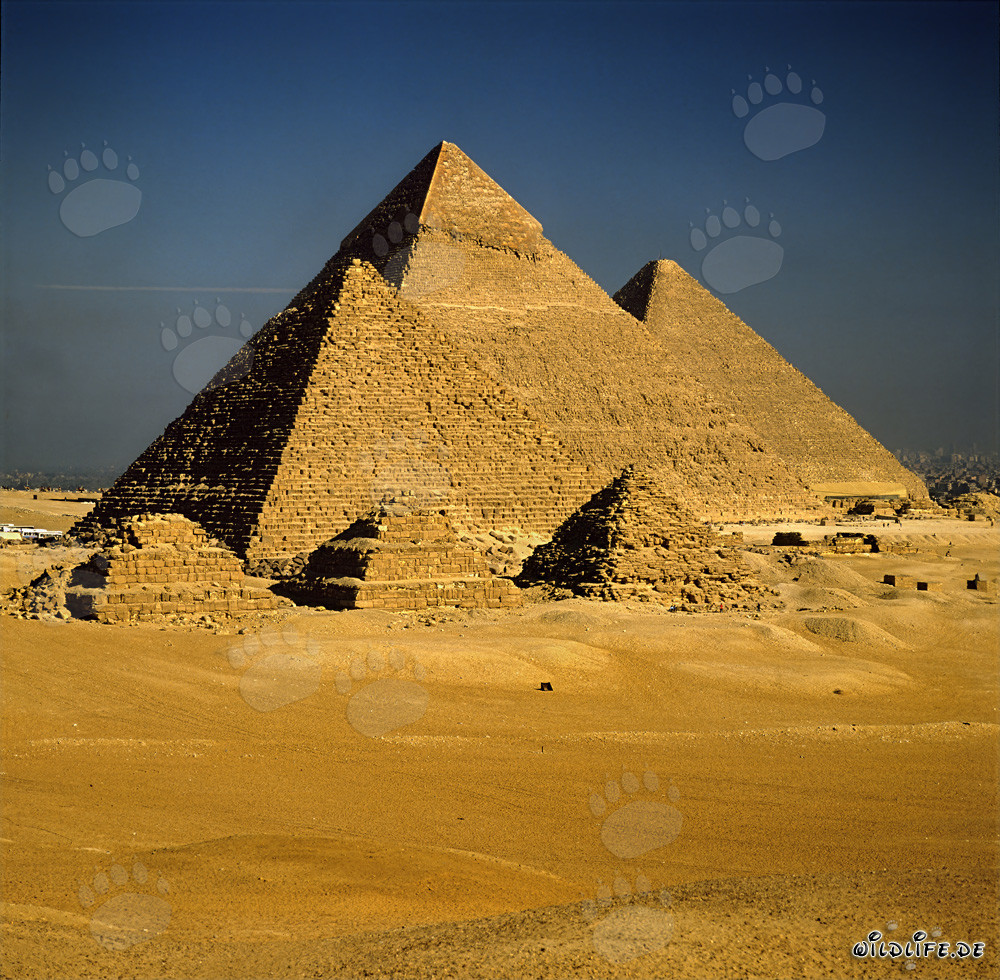 Le impressionanti piramidi di Giza: Micerino, Chefren e Cheope