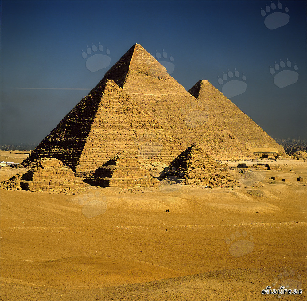 Les impressionnantes pyramides de Gizeh : Mykérinos, Khéphren et Khéops