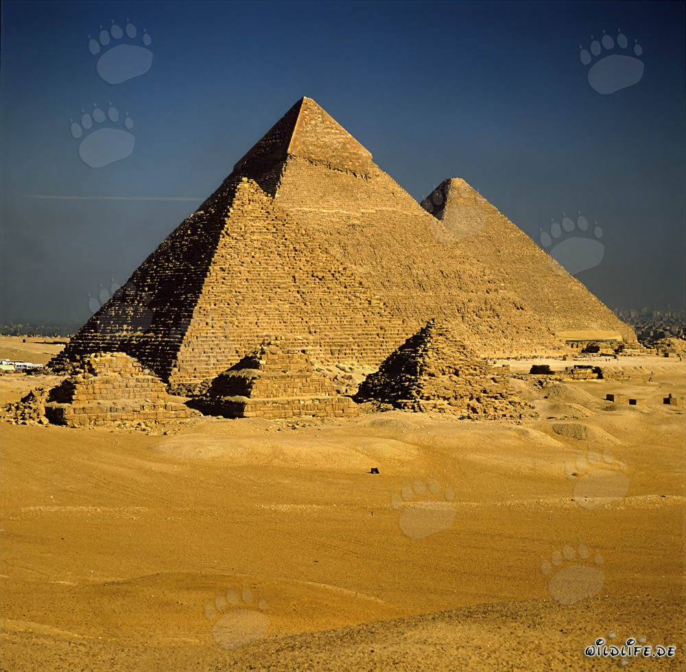 The impressive Pyramids of Giza: Menkaure, Khephren and Khufu
