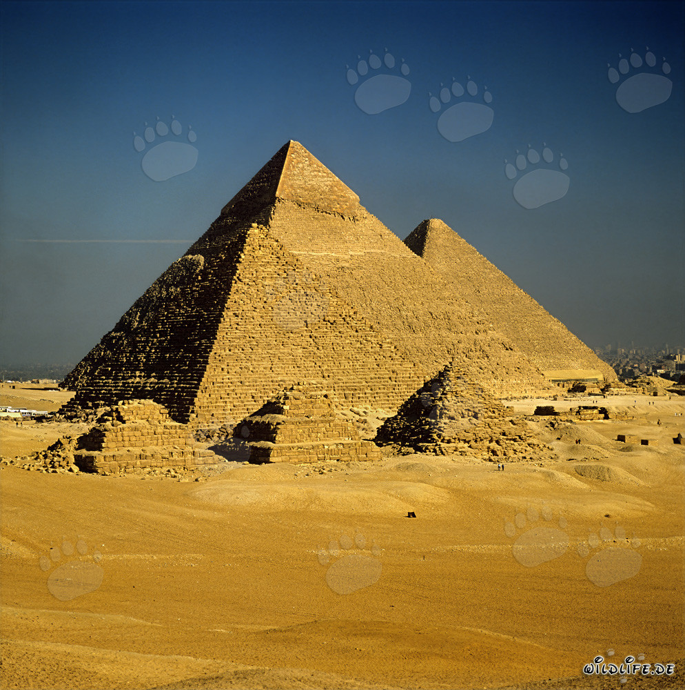 Die majestätischen Pyramiden von Gizeh - Mykerinos, Chephren und Cheops
