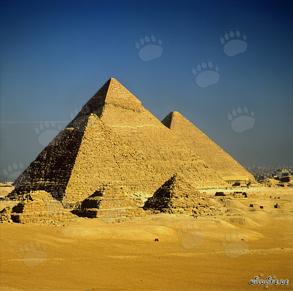 Le impressionanti piramidi di Giza