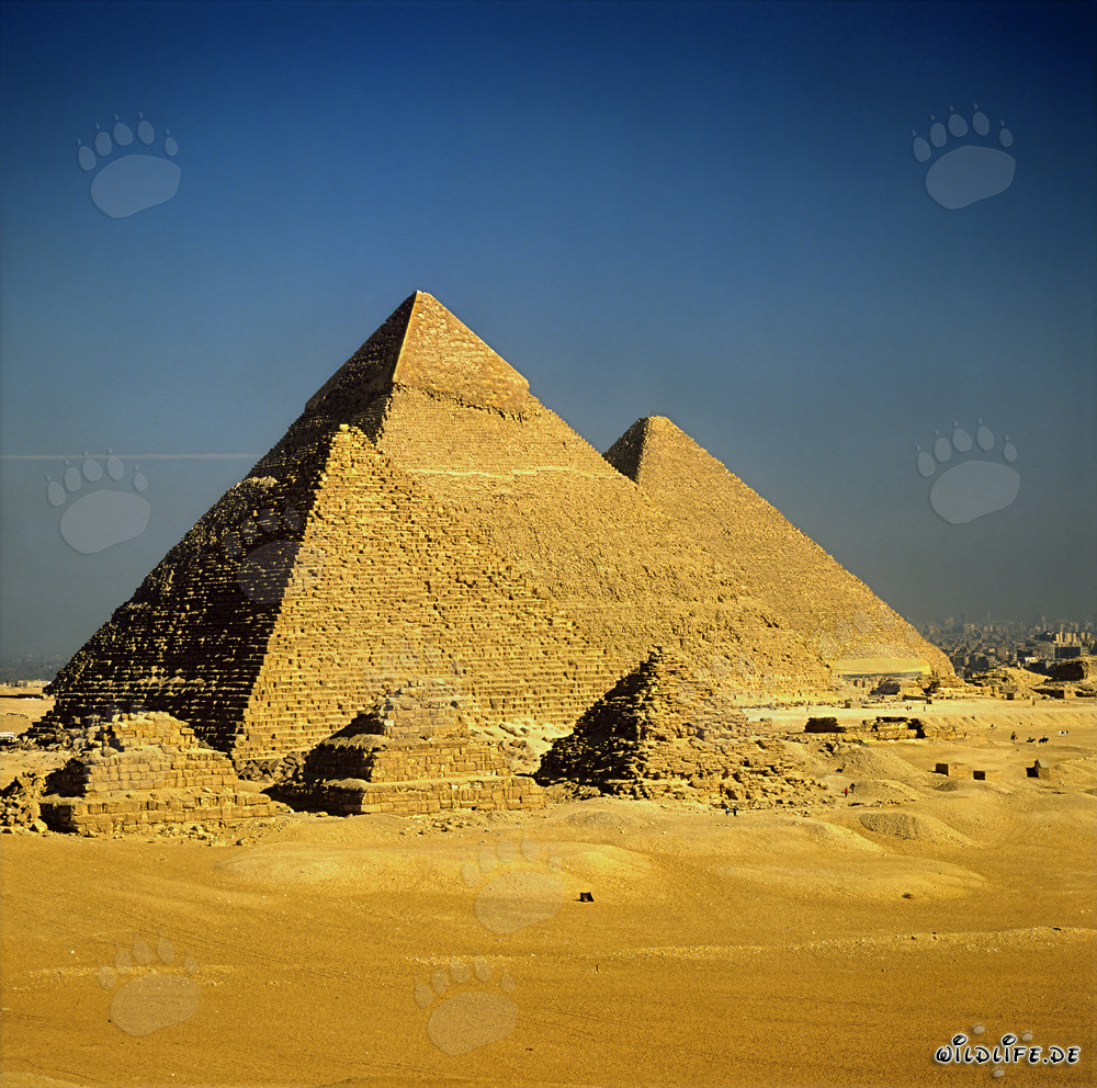 The impressive pyramids of Giza