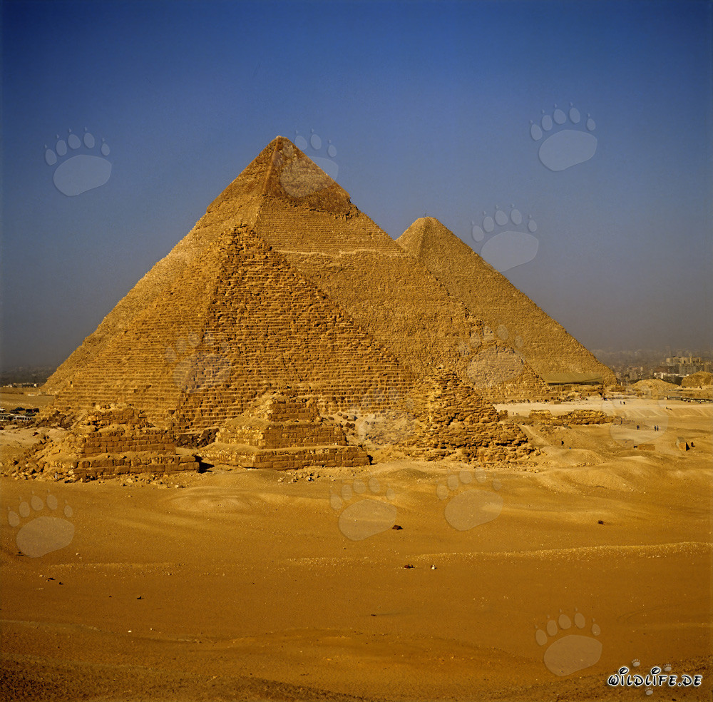 Las majestuosas pirámides de Giza en Egipto