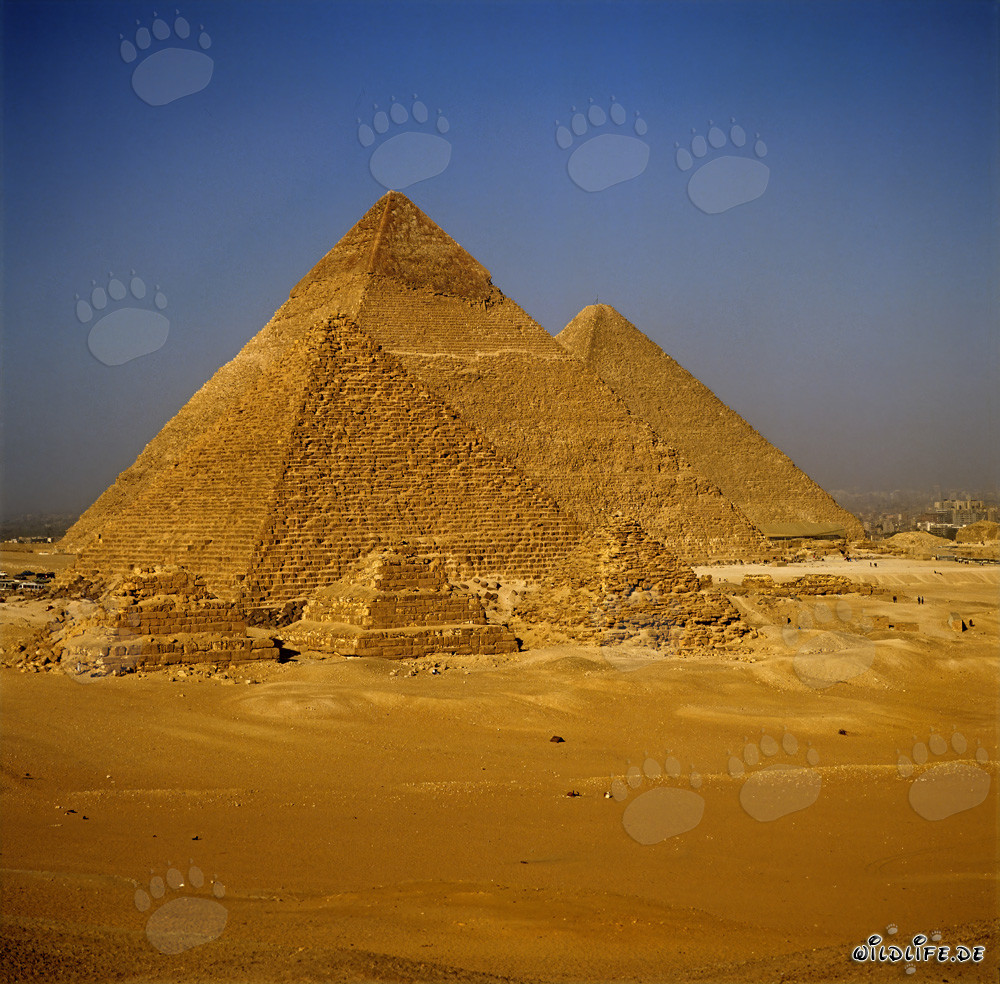 Le maestose piramidi di Giza in Egitto