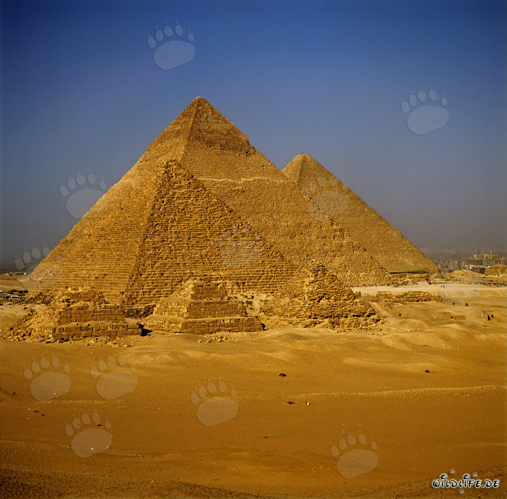 Die majestätischen Pyramiden von Gizeh in Ägypten
