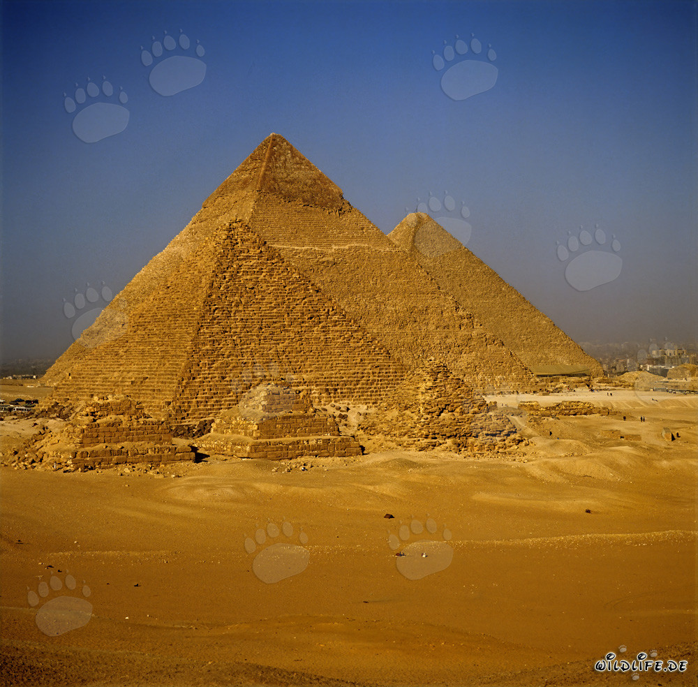 The Majestic Pyramids of Giza in Egypt