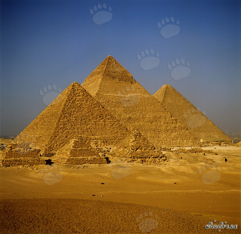 Las impresionantes pirámides de Giza