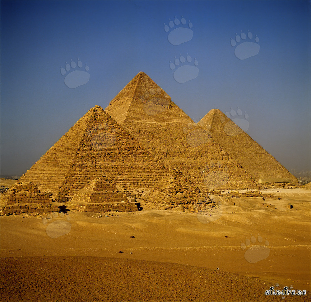 Le impressionanti piramidi di Giza