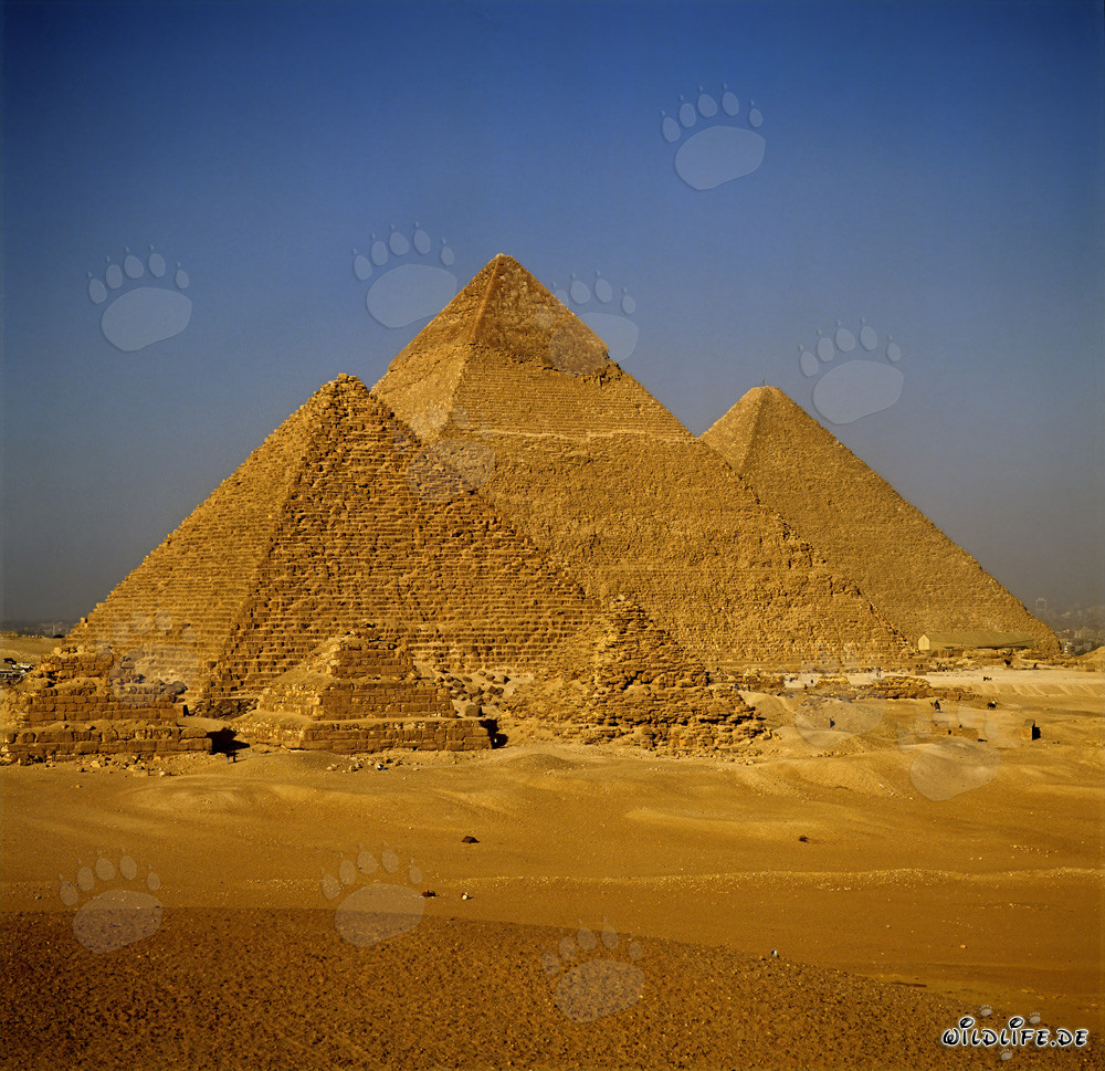 Les impressionnantes pyramides de Gizeh