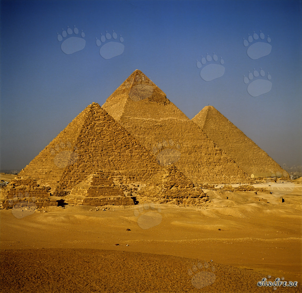 The Impressive Pyramids of Giza