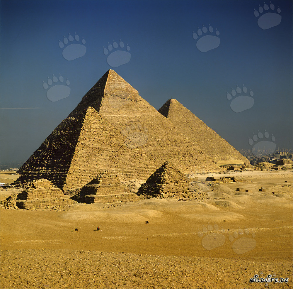 Die majestätischen Pyramiden von Gizeh in Ägypten