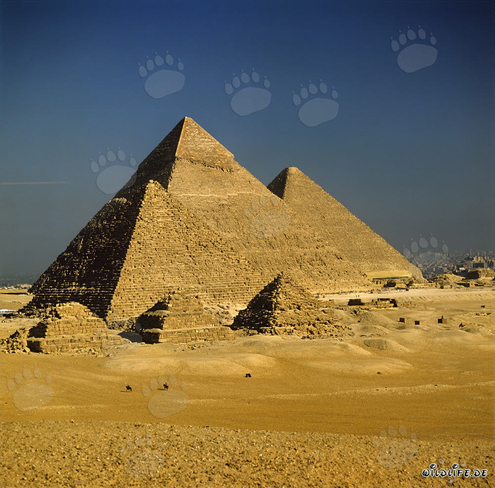 The majestic pyramids of Giza in Egypt