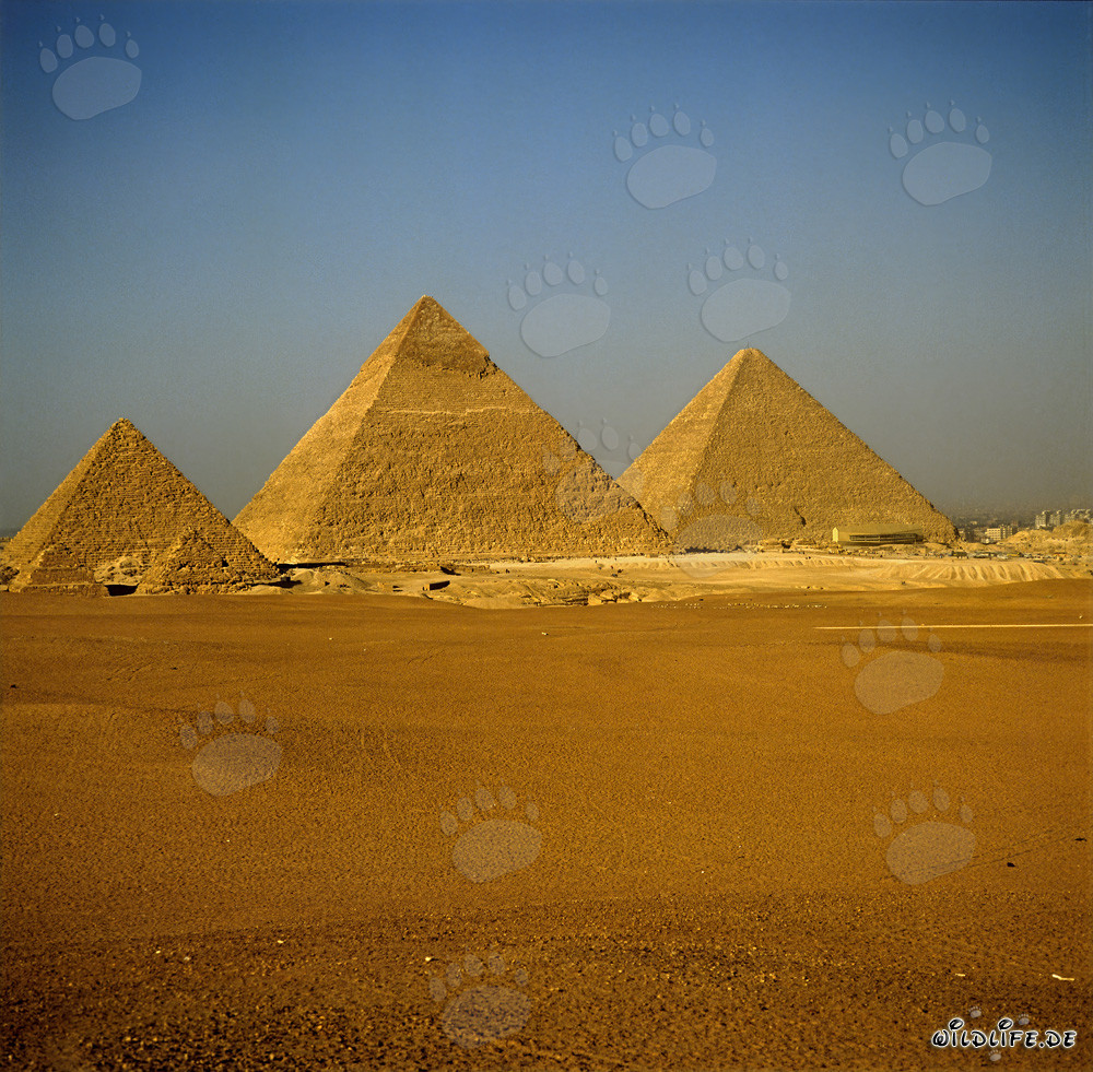 Las impresionantes pirámides de Giza: Micerinos, Kefrén y Keops
