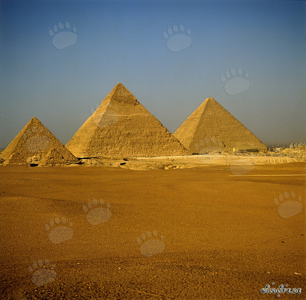 Le impressionanti piramidi di Giza: Micerino, Chefren e Cheope