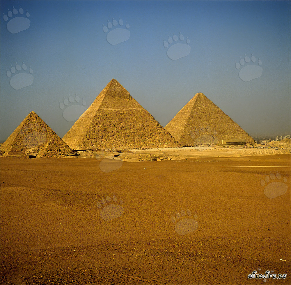 Die beeindruckenden Pyramiden von Gizeh: Mykerinos, Chephren und Cheops