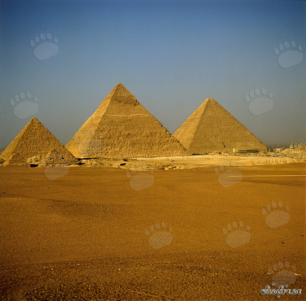 Les impressionnantes pyramides de Gizeh : Mykérinos, Khéphren et Kheops